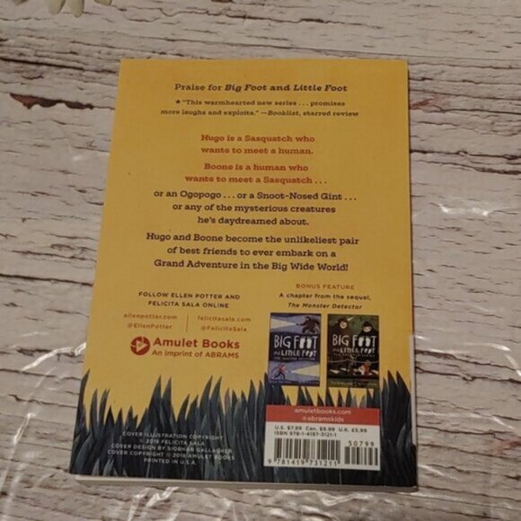 3/$15 Big Foot and Little Foot by Ellen Porter Children Book - Picture 4 of 4